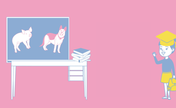 Les 10 compétences clés développées en éthique animale